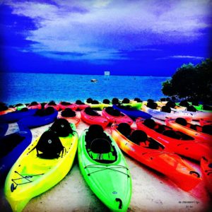 Kayaks lined up for the bioluminescent kayak tour