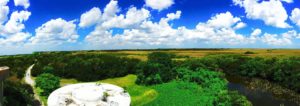 View from the top of the Shark Valley Observation Tower in the Everglades 