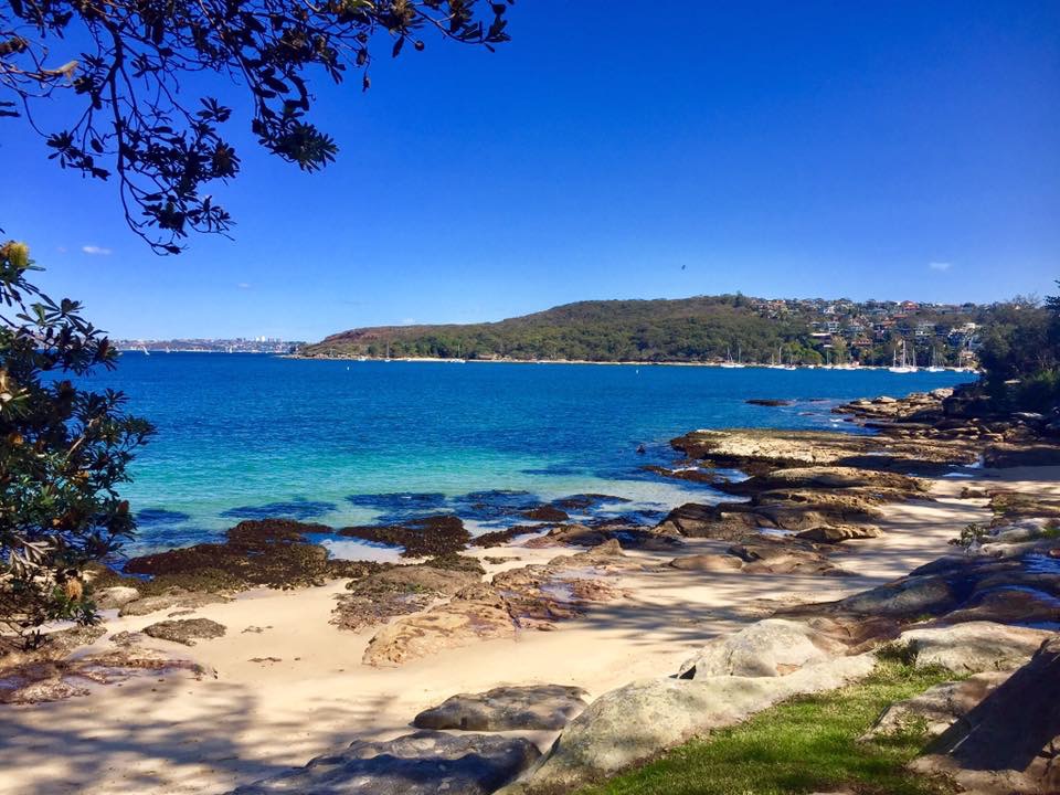 Manly: My Favorite Beach in Sydney