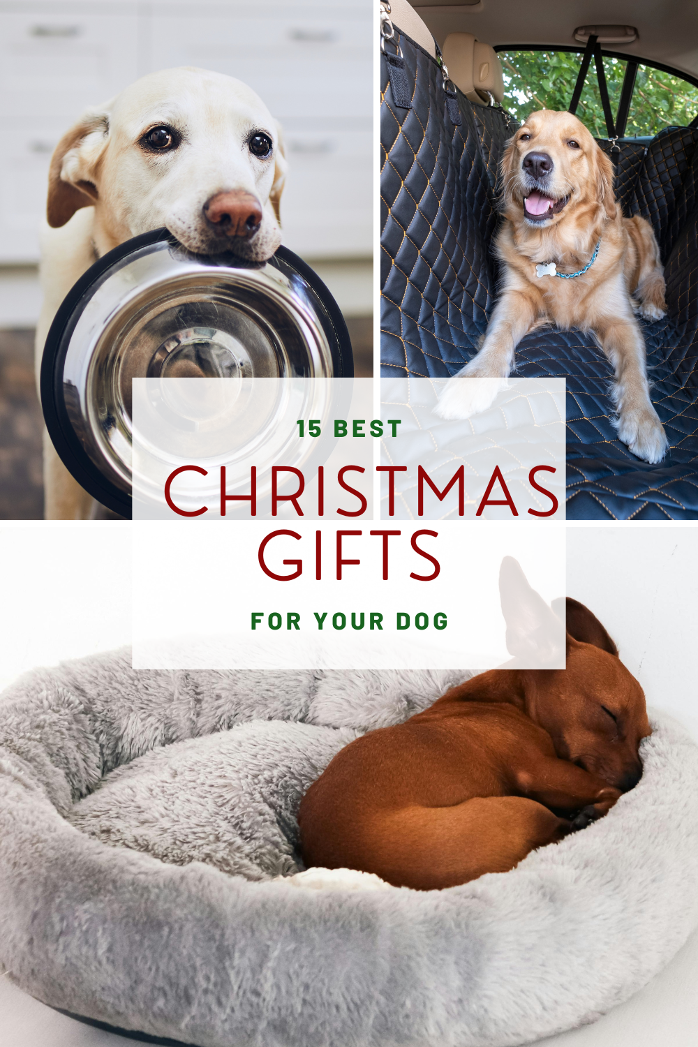 15 Best Christmas Gifts for Your Dog (2025 Gift Guide)